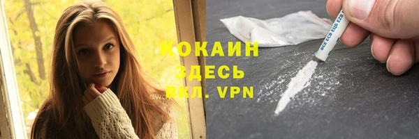 кокс Бородино