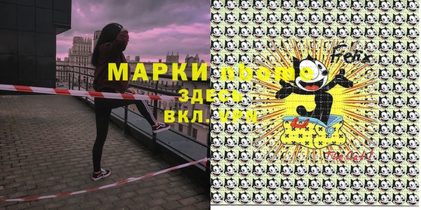 кокс Бородино