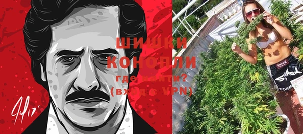 тгк Бронницы