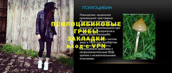 кокс Бородино